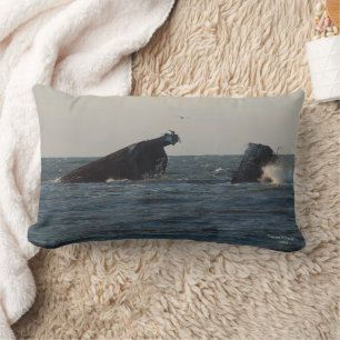 Rectangle Coussin américain Atlantus Concrete Shipwreck