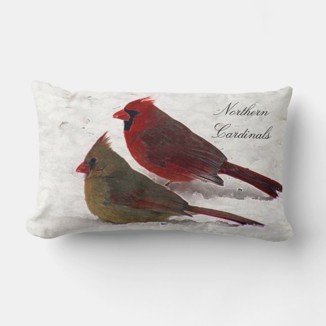 Rectangle coussin cardinal de paires (Recto)