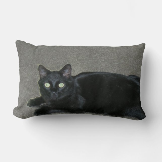 Rectangle coussin - Chat noir sur tapis (Recto)