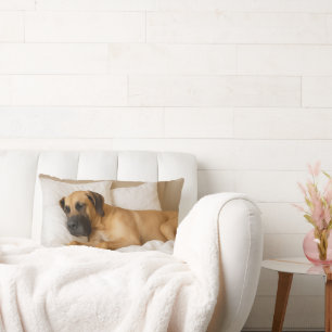 Rectangle Coussin confortable Great Dane Lumbar