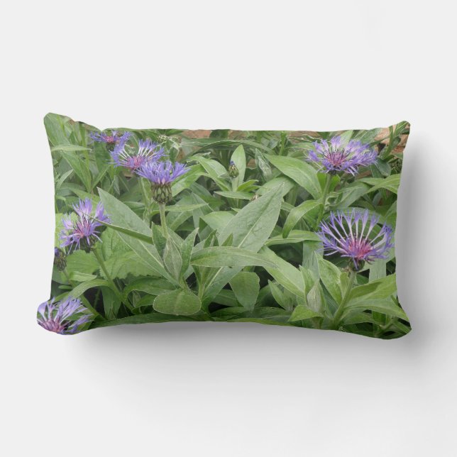 Rectangle Coussin Cornflowers (Recto)