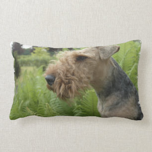 Rectangle Coussin d'Airedale