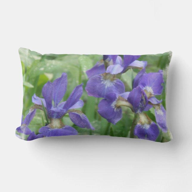 Rectangle Coussin d'ampoules d'iris (Recto)