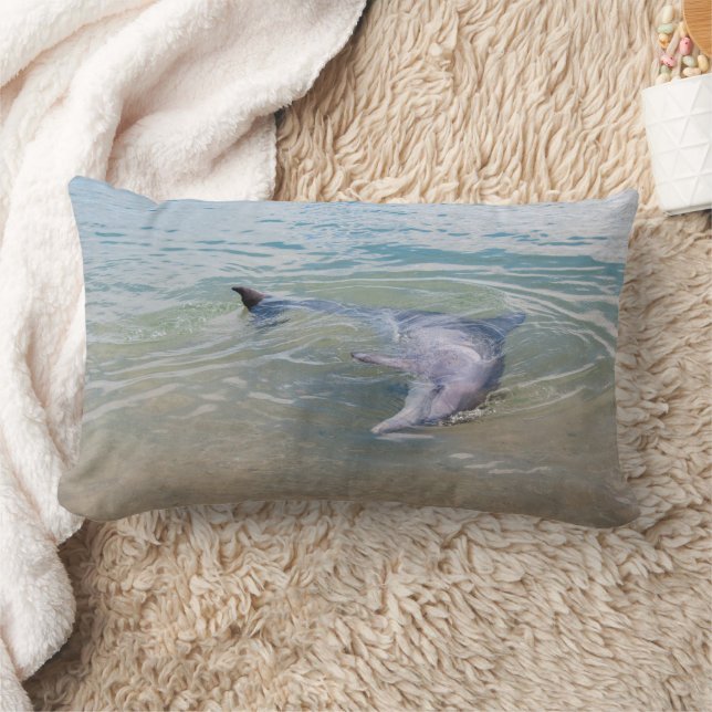 Rectangle Coussin dauphin joueur et curieux (Couverture)