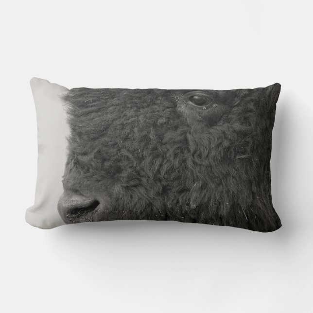 Rectangle Coussin de bison ou de Buffalo (Recto)