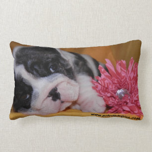 Rectangle Coussin de bouledogue d'amour de despote