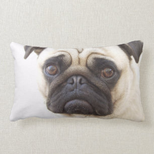 Rectangle Coussin de chien de carlin