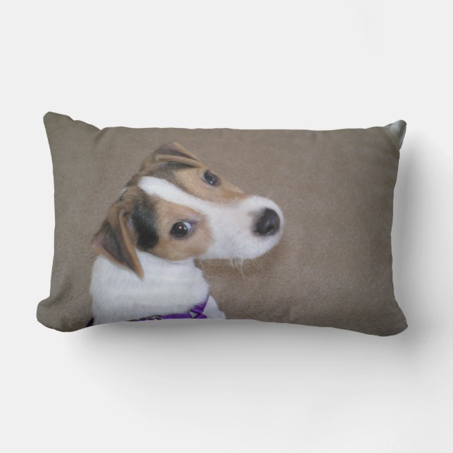 Rectangle Coussin de chiot de Jack Russell (Recto)