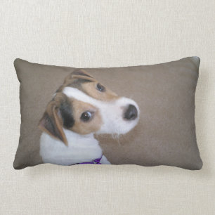 Rectangle Coussin de chiot de Jack Russell