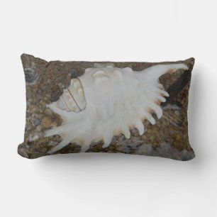 Rectangle coussin de coques