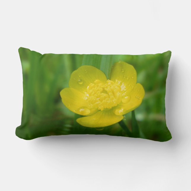Rectangle Coussin de coupe-papillon Appalachian (Recto)