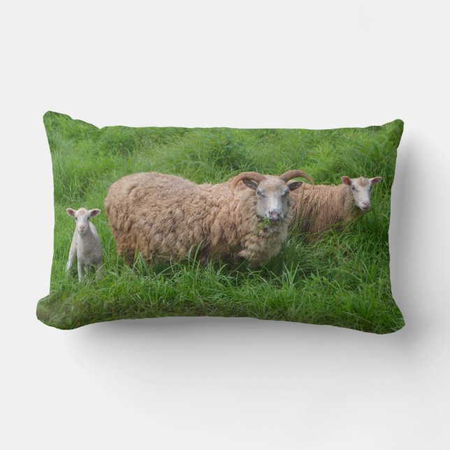 Rectangle Coussin de famille de moutons (Recto)