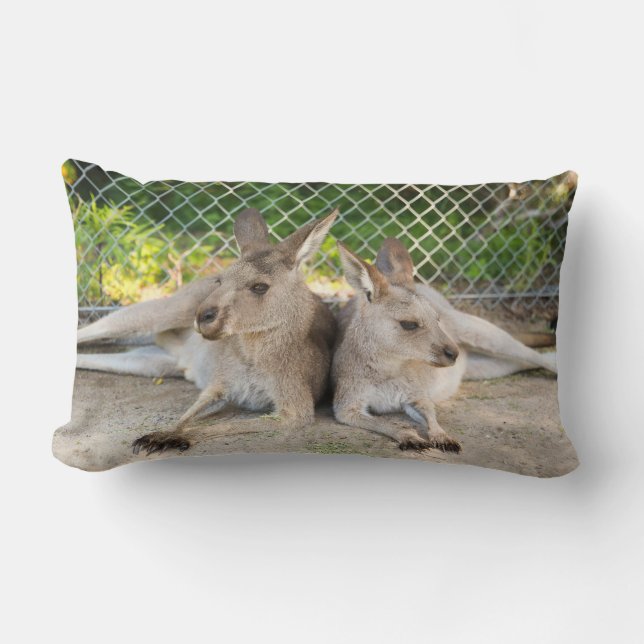 Rectangle Coussin de kangourou (Recto)