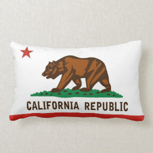 Rectangle coussin de l'Amérique uni par drapeau d'état de