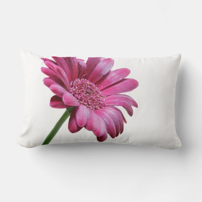 Rectangle Coussin de Marguerite Gerbera (Recto)