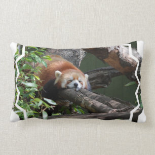 Rectangle Coussin de panda rouge de sommeil