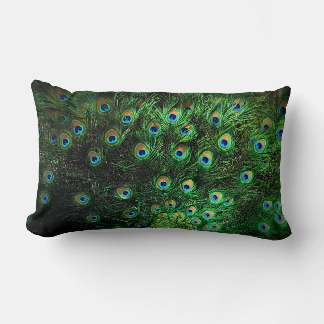 Rectangle coussin de paon (Recto)