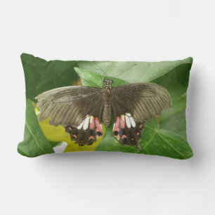 Rectangle Coussin de papillon Scarlet Swallowtail