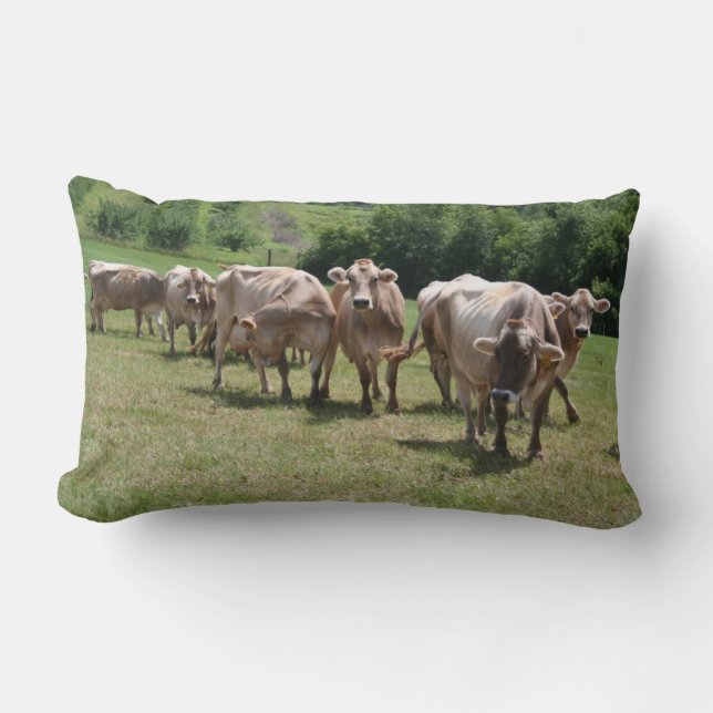 Rectangle Coussin de petit somme de Suisse Brown (Recto)