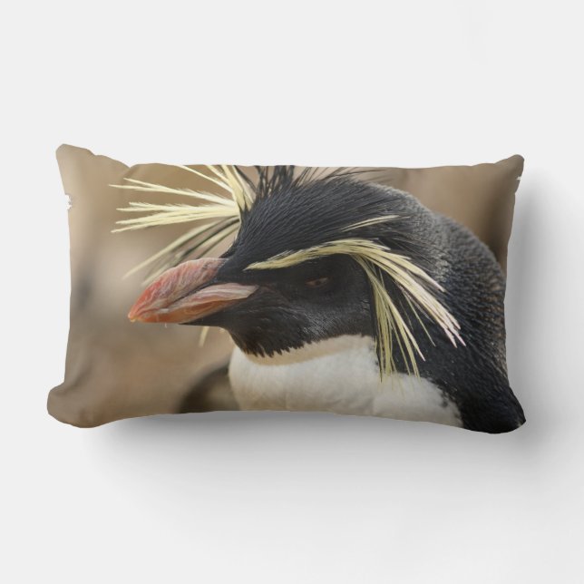 Rectangle Coussin de pingouin de Rockhopper (Recto)