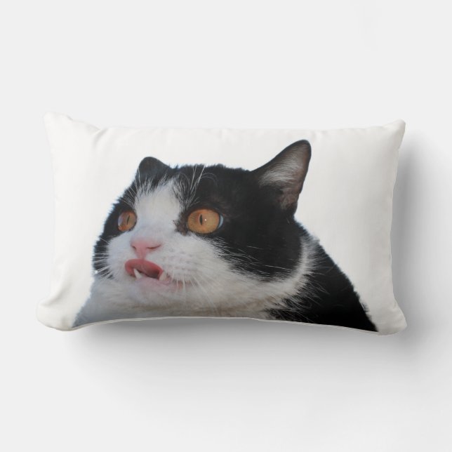 Rectangle Coussin de Pokey (Recto)