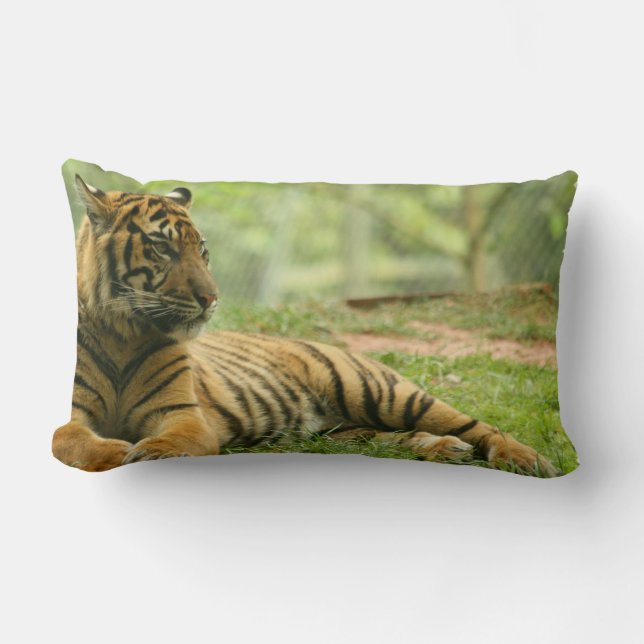 Rectangle Coussin de repos de tigre (Recto)