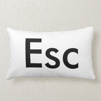 Rectangle Coussin d'ESC
