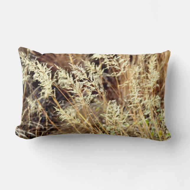 Rectangle Coussin d'herbe sèche (Recto)