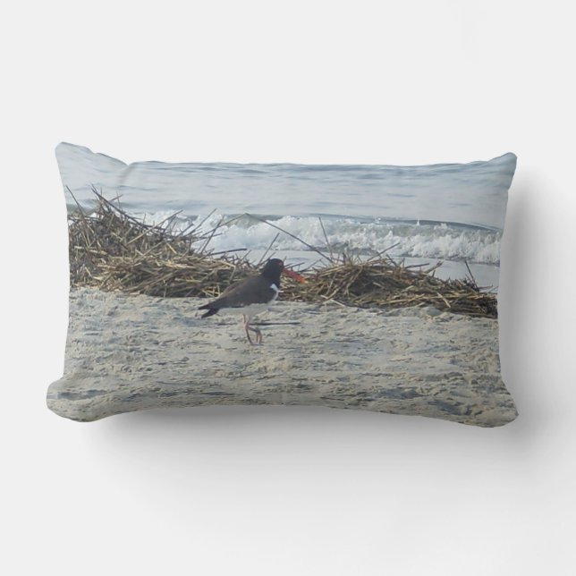 Rectangle Coussin d'oiseau de bécasseau à la plage (Recto)