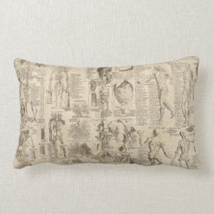 Rectangle Coussin humain vintage d'anatomie