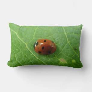 Rectangle Coussin Ladybug