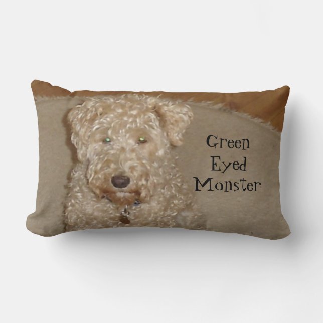 Rectangle Coussin Lakeland (Recto)