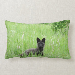 Rectangle Coussin lombaire argenté de Fox de l'Adirondacks
