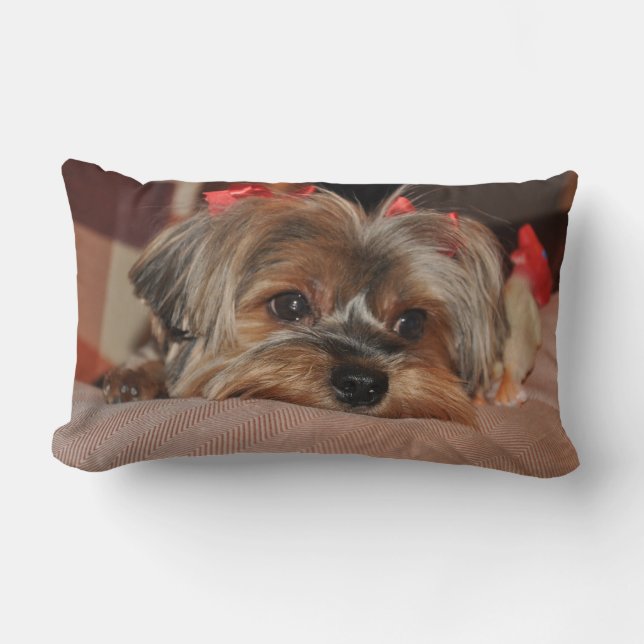 Rectangle Coussin lombaire de chiot de Yorkshire Terrier (Recto)
