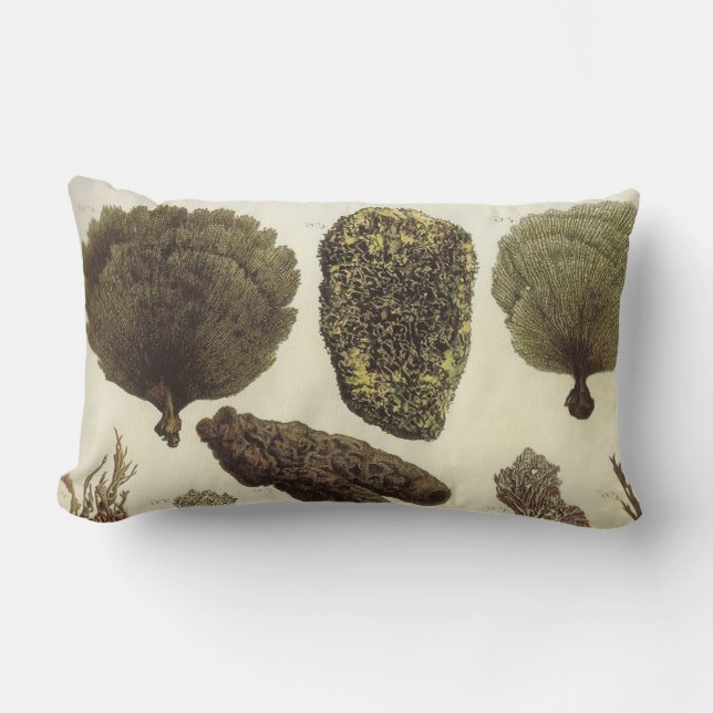 Rectangle Coussin lombaire de vie marine nautique de (Recto)