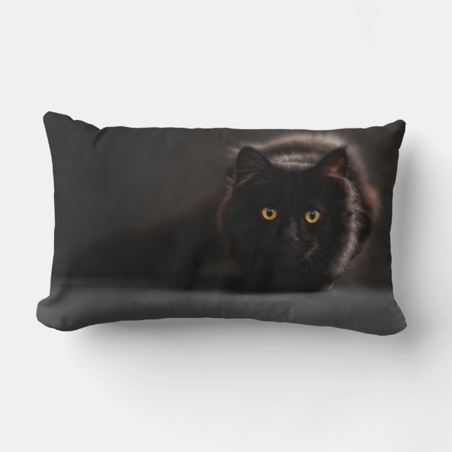 Rectangle Coussin Lumbar 13 pouces x 21 pouces (Recto)