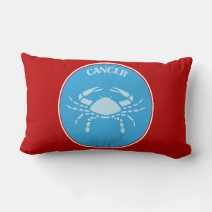 Rectangle Coussin Lumbar cancer