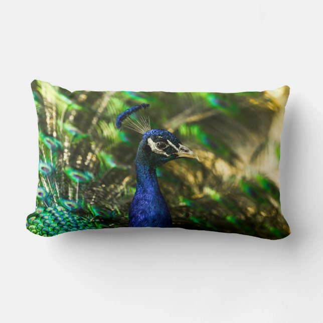 Rectangle Coussin Peacock (Recto)