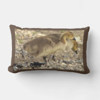 Coussin photo de la petite oie