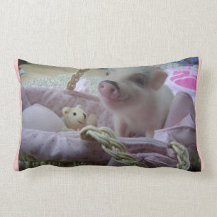 Rectangle Coussin porcin mignon