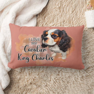 Rectangle Coussin pour animaux de compagnie