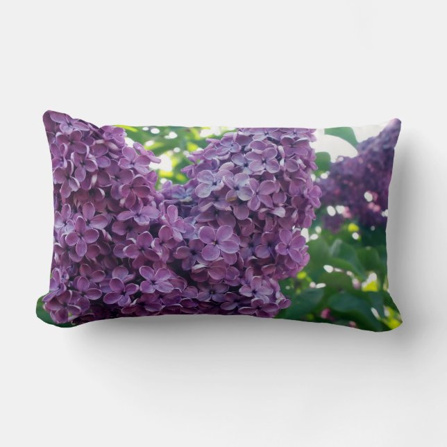 Rectangle Coussin pourpre de lilas (Recto)