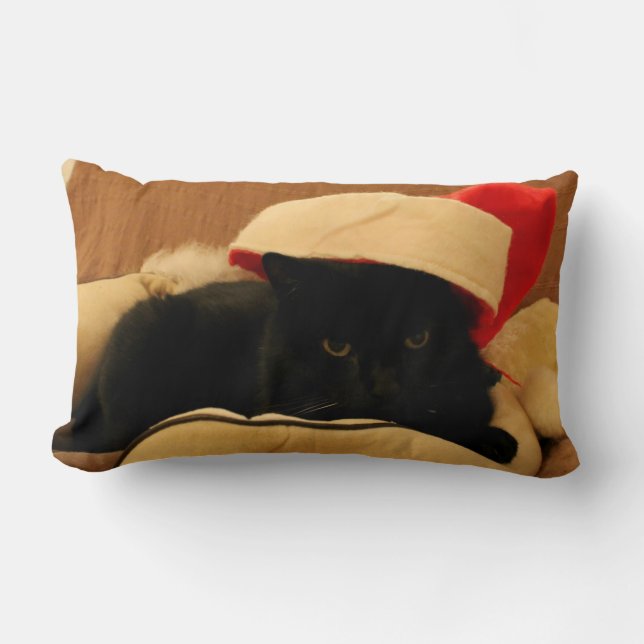 Rectangle Coussin Sam le Chat édition Noël (Recto)
