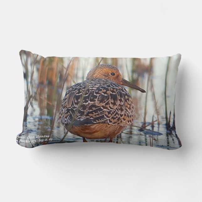 Rectangle Coussin Save Our Shorebirds par RoseWrites (Recto)