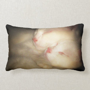 Rectangle Coussin somnolent de Kittys