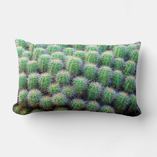 Rectangle coussin vert cactus baril (Recto)