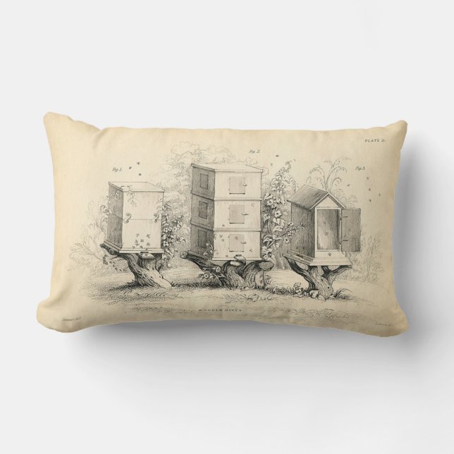 Rectangle Coussin vintage de ruche d'abeille (Recto)