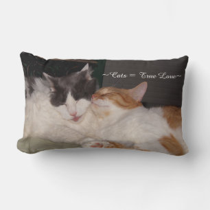 Rectangle Cute Chats dormant Vraie Amour Coussin