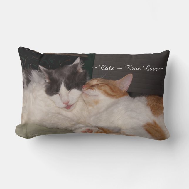 Rectangle Cute Chats dormant Vraie Amour Coussin (Recto)