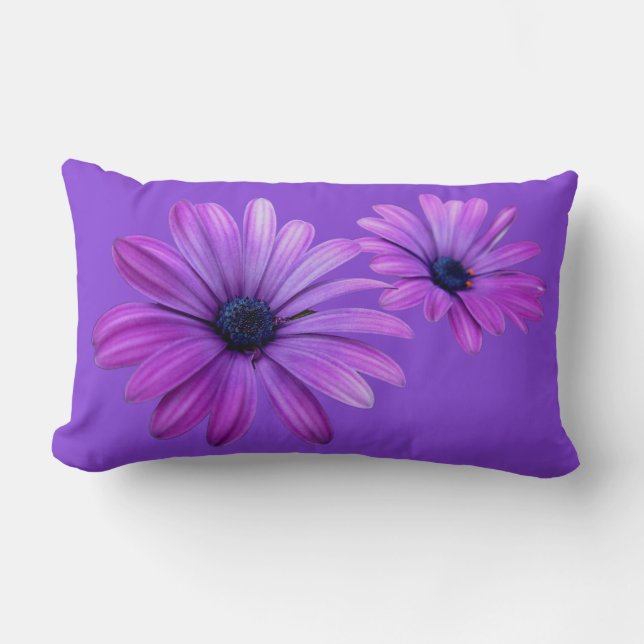 Rectangle Daisy Coussin Blue Daisy Coussin Flower Decor (Recto)